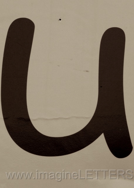 Wall_Art_Alphabet_Photography_Art_ 2247.jpg